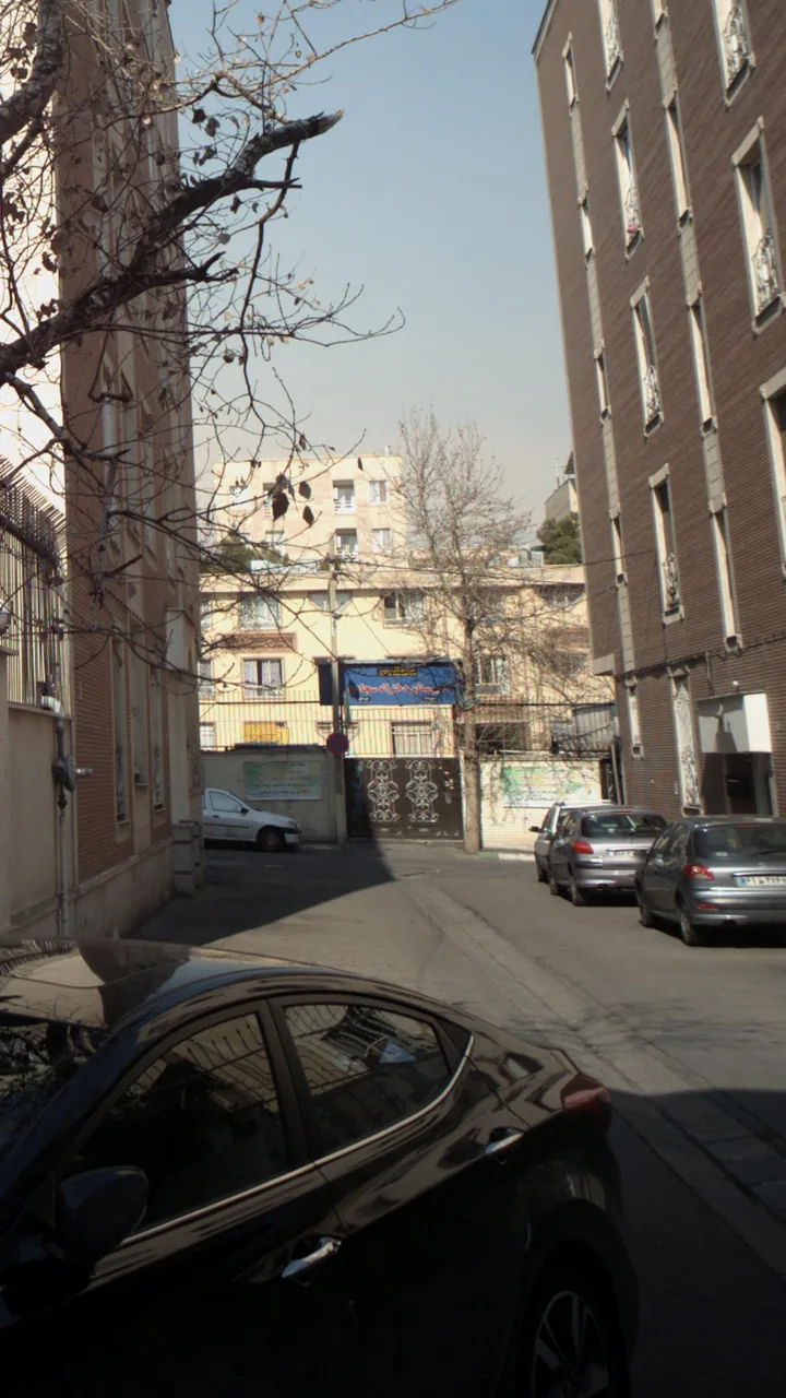 مدرسه ورزشی پسرانه قدس - تصویر 3