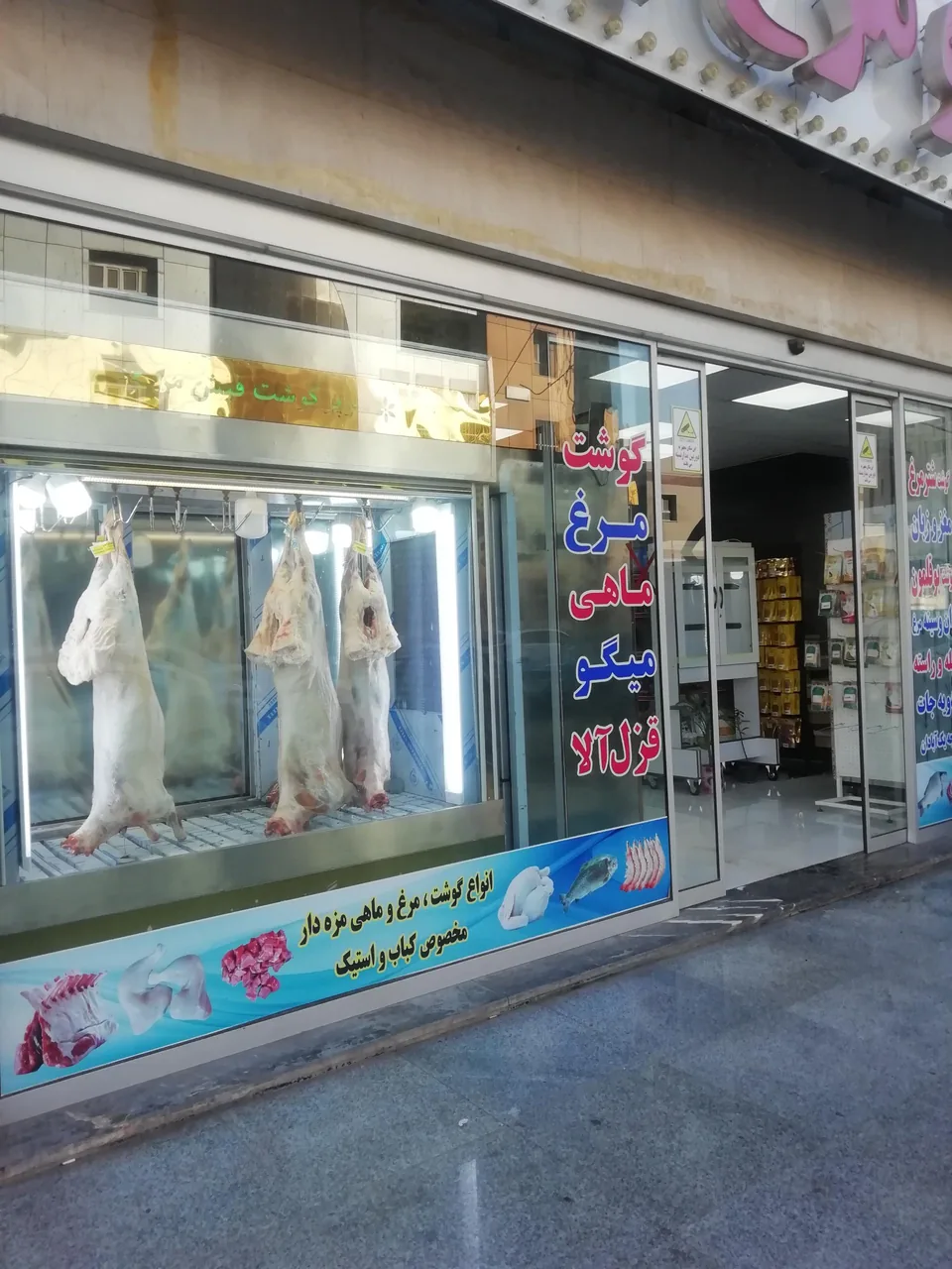 سوپر گوشت مرغ ماهی فیش من - تصویر 6