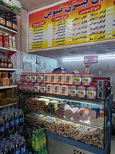 پروتئینی بیژن نوین