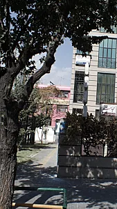 دبستان و پیش دبستانی