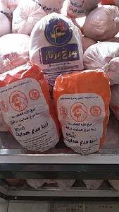 مرغ کشتارروز بهروزی