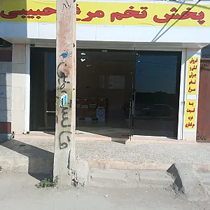 دفتر توزیع و فروش تخم‌ مرغ حبیبی