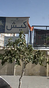 موسسه آموزش علوم وفنون کیش