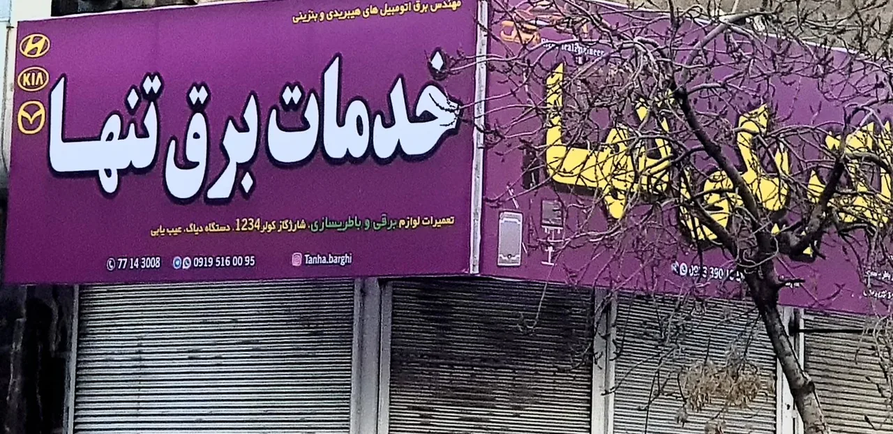 تنها برقی - تصویر 2