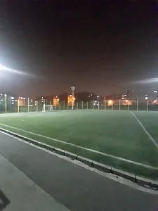 زمین چمن فلاحتی