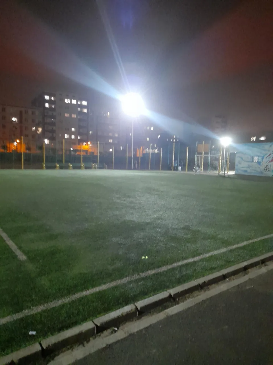 زمین چمن فلاحتی - تصویر 2