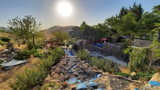 سفره خانه کوهستان زیتون
