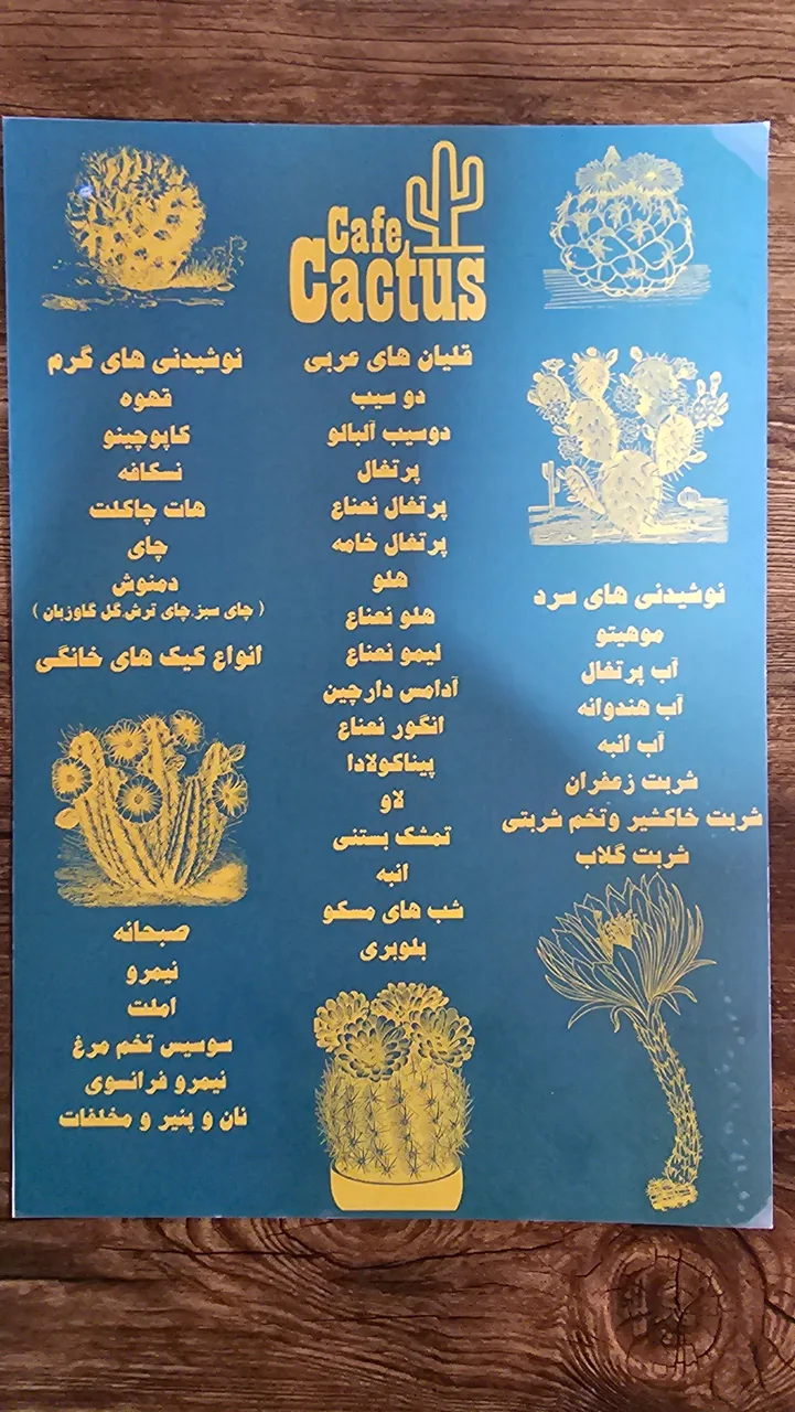 کافه عربی کاکتوس - تصویر 2