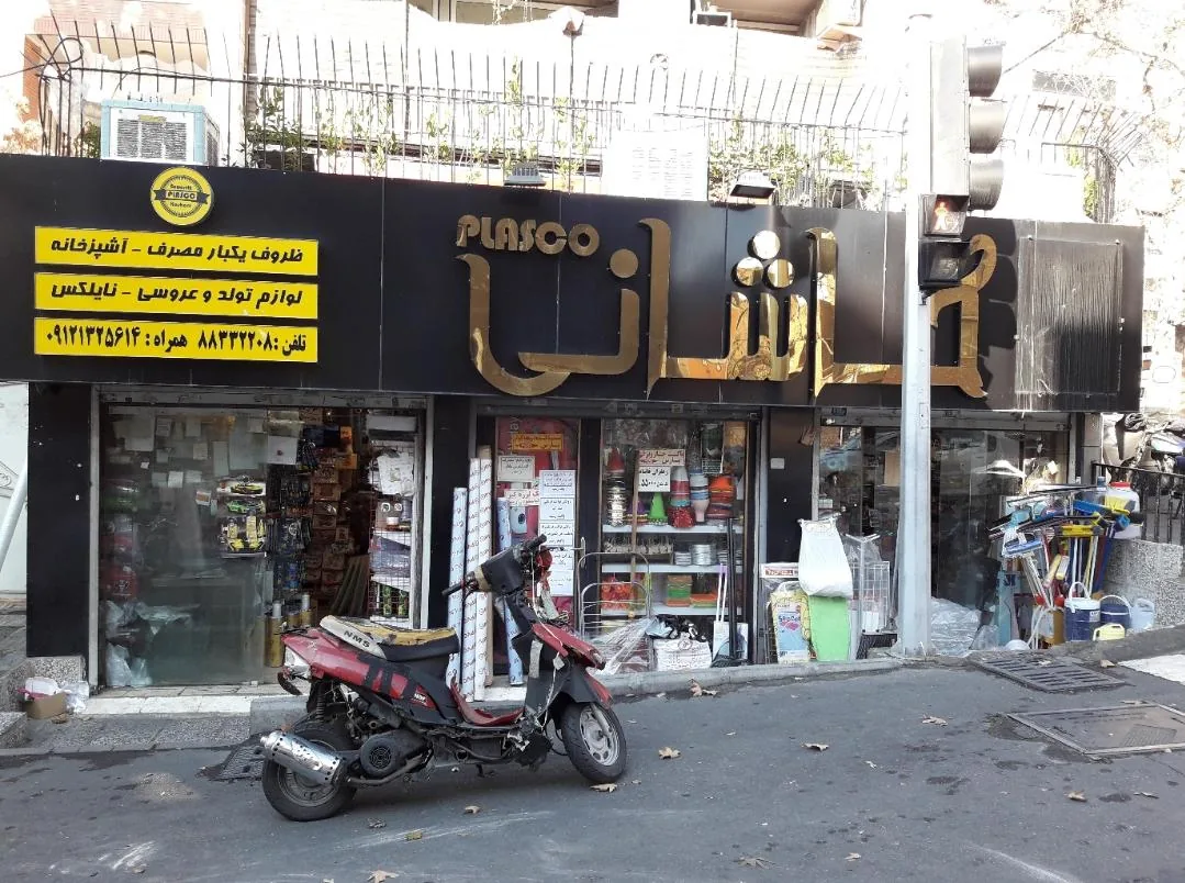 پلاسکو کاشانی - تصویر 2