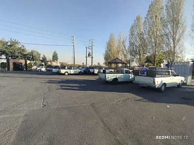 باربری سبز