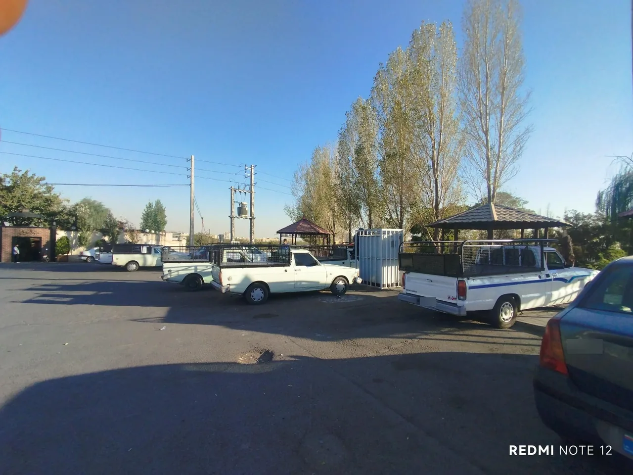 باربری سبز - تصویر 2