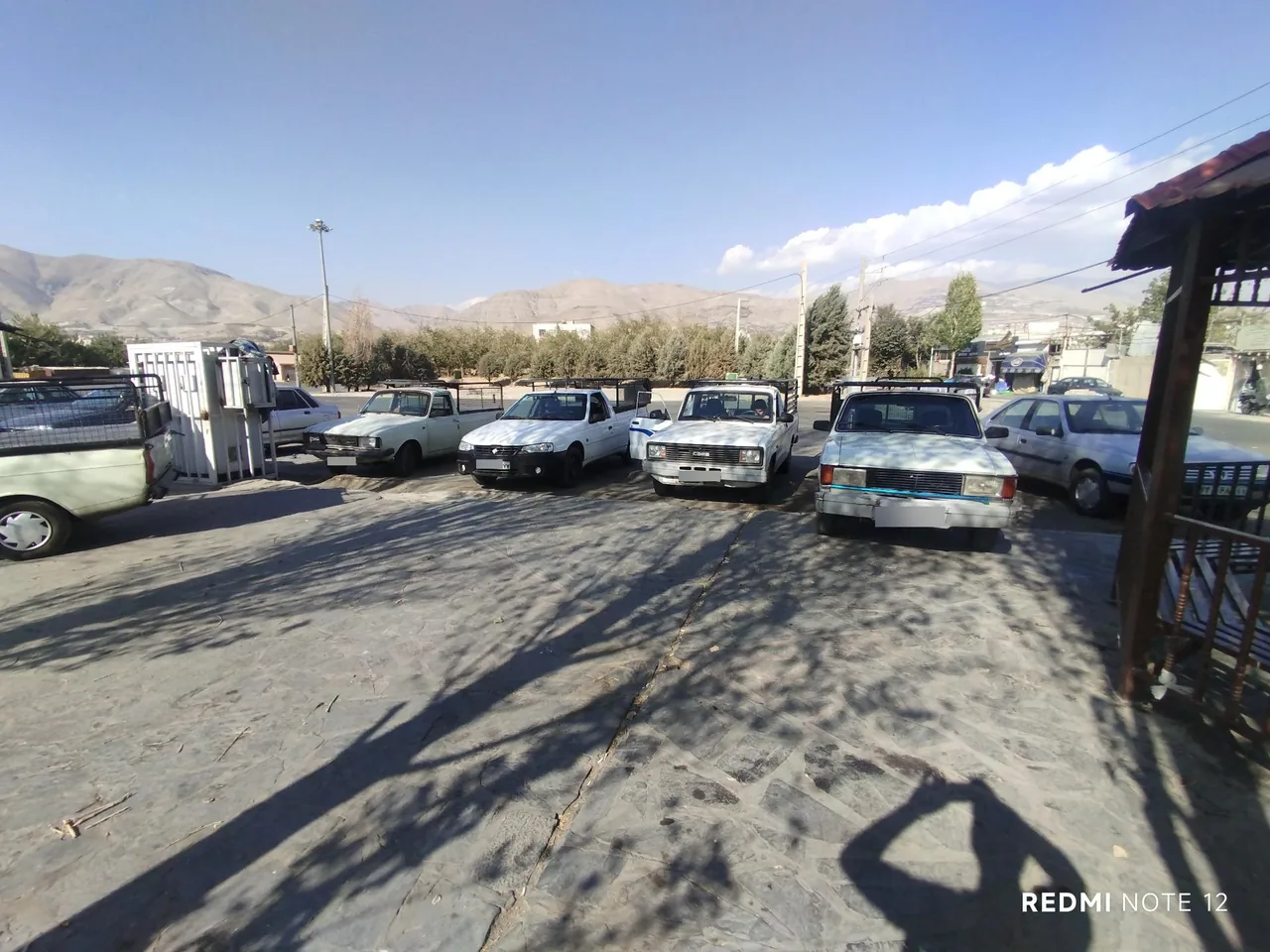 باربری سبز - تصویر 3