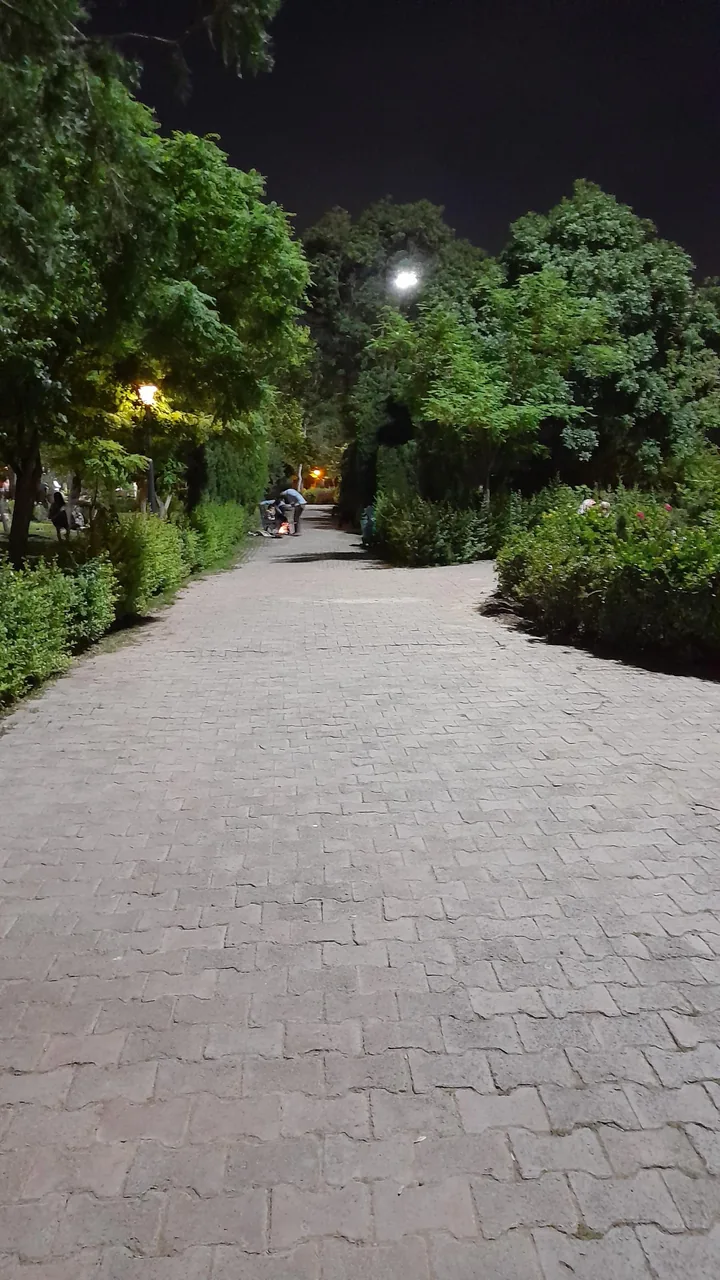 شهربازی پارک شهر - تصویر 3