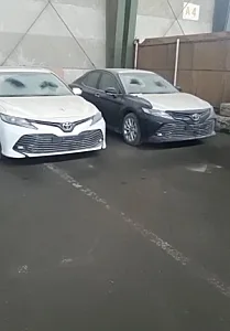 نمایشگاه اتومبیل سلامات