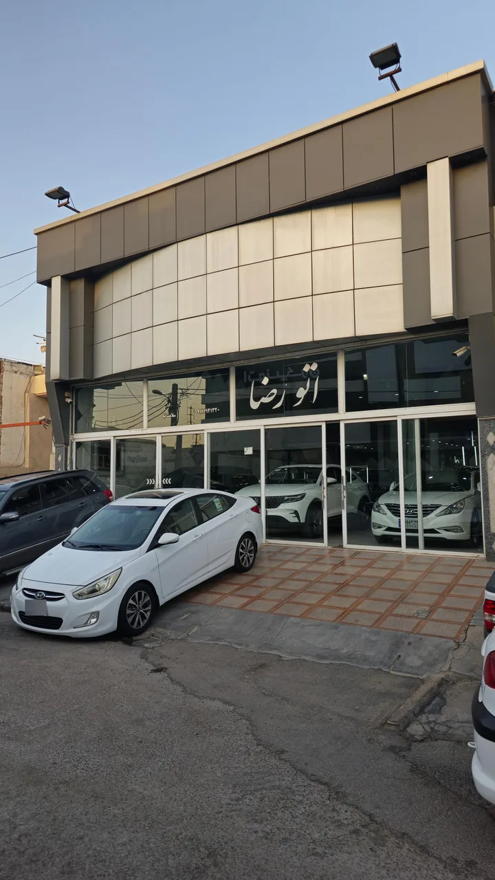 نمایشگاه اتو رضا - تصویر 5