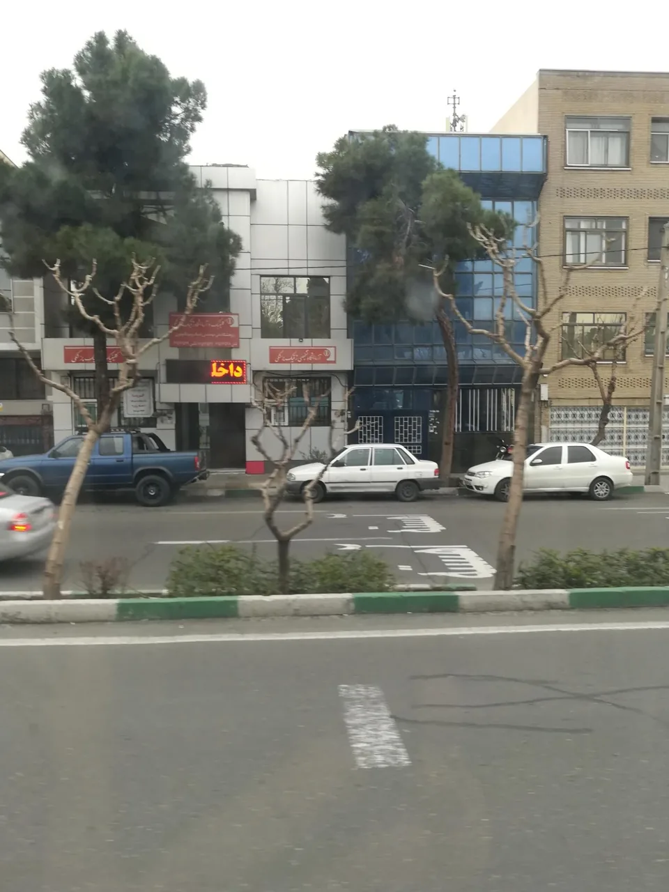 آزمایشگاه ژنتیک پژوهشگاه ملی و مهندسی ژنتیک - تصویر 2