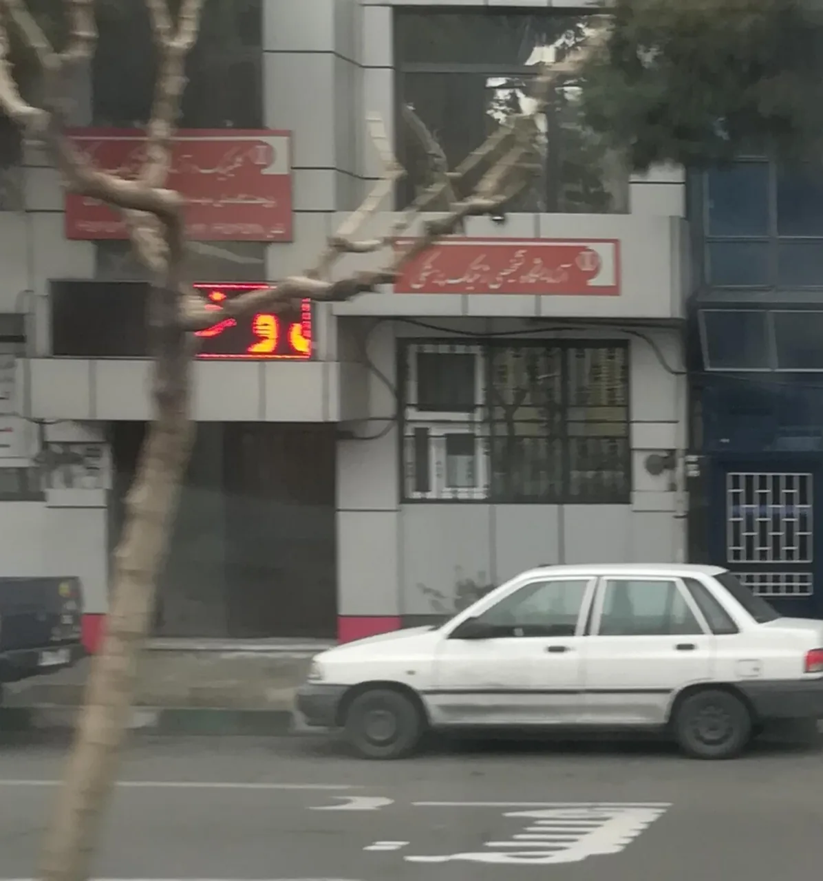 آزمایشگاه ژنتیک پژوهشگاه ملی و مهندسی ژنتیک - تصویر 3