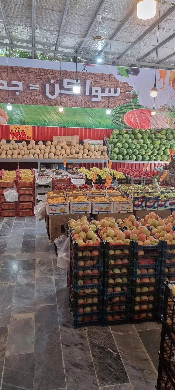فروشگاه ملاصدرا - تصویر 2