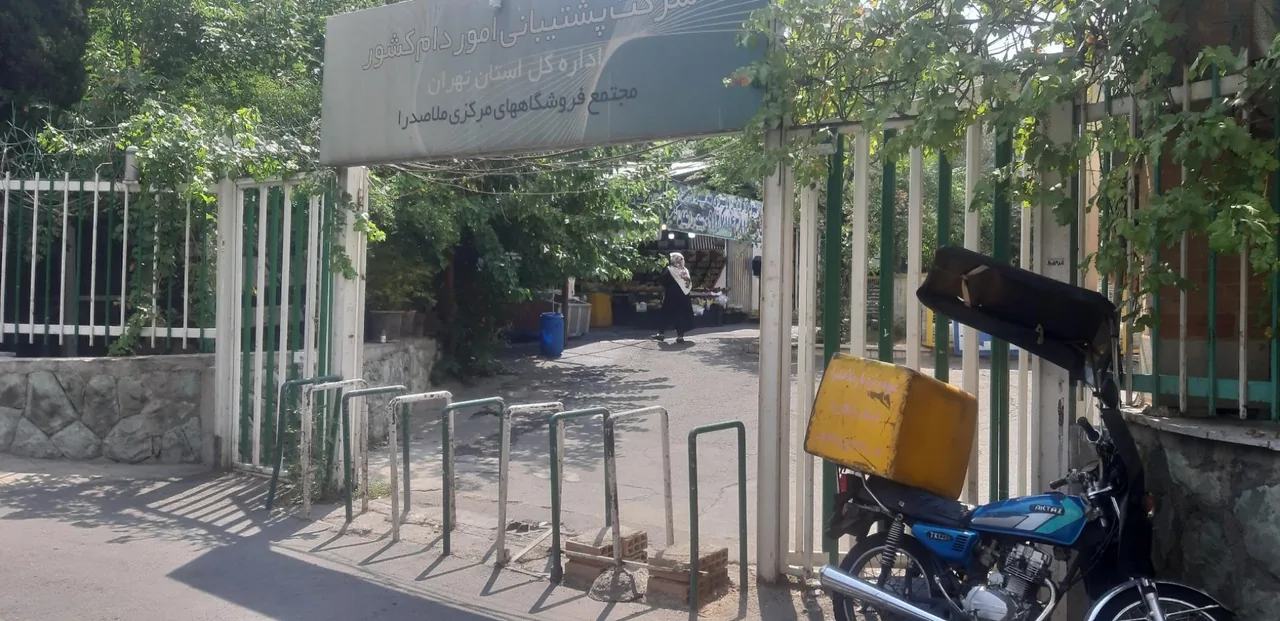 فروشگاه ملاصدرا - تصویر 4