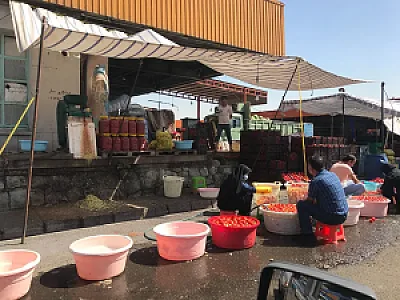 میدان مرکزی میوه و تره بار تهران فاز دو