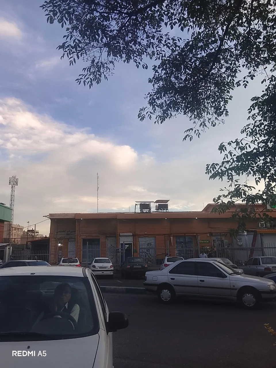 بازار روز میوه و تره‌بار جنت آباد - تصویر 4