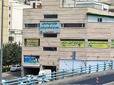 بازار میوه و تره بار دریا