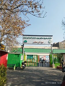 بازار میوه و تره بار معلم