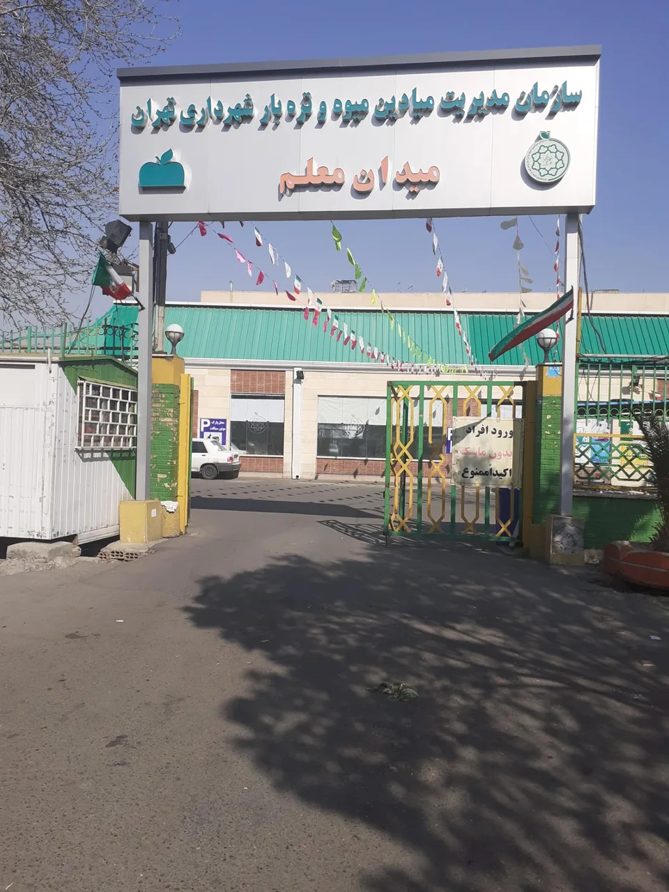 بازار میوه و تره بار معلم - تصویر 3