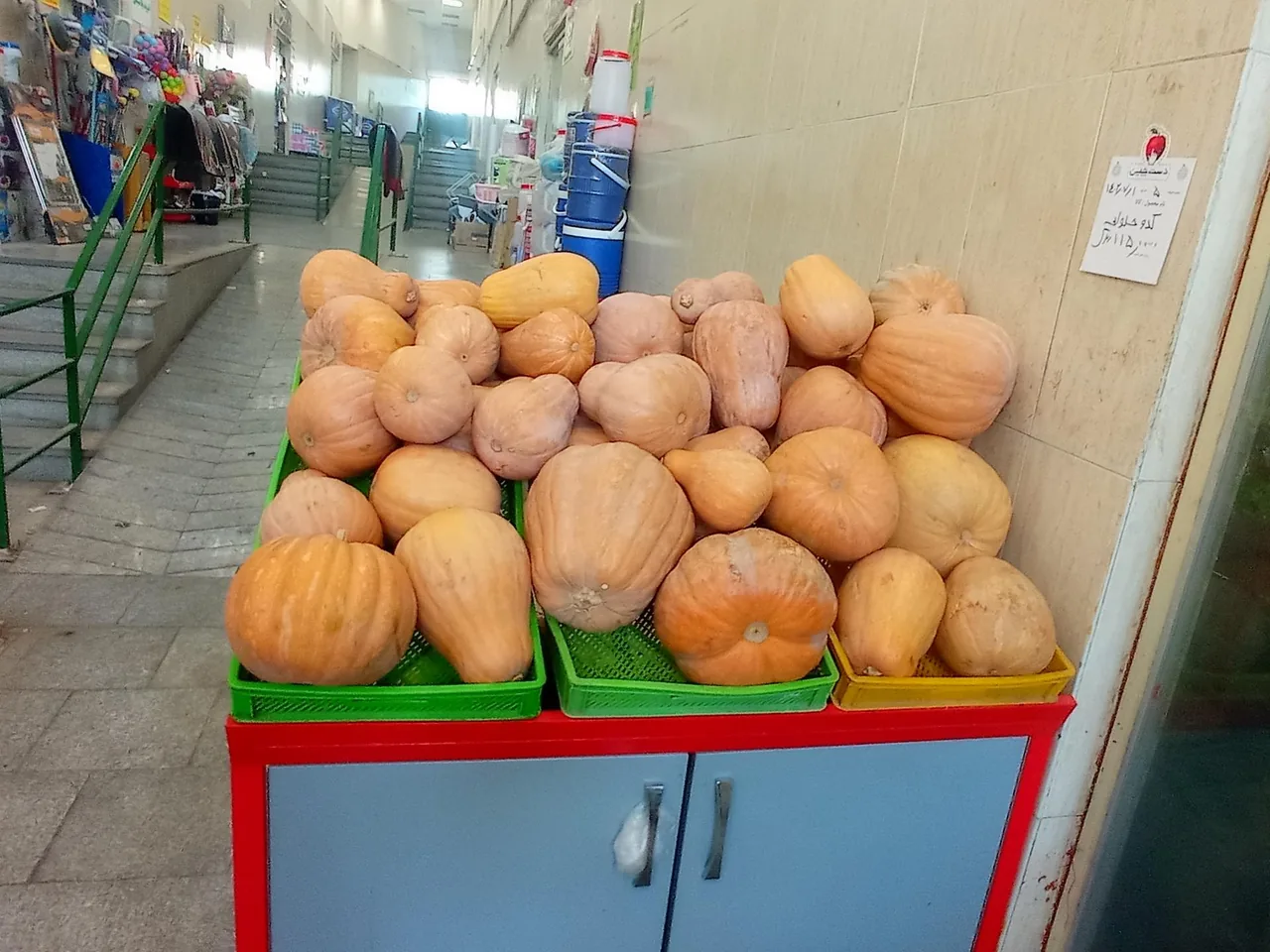 تره بار کوهستان - تصویر 3