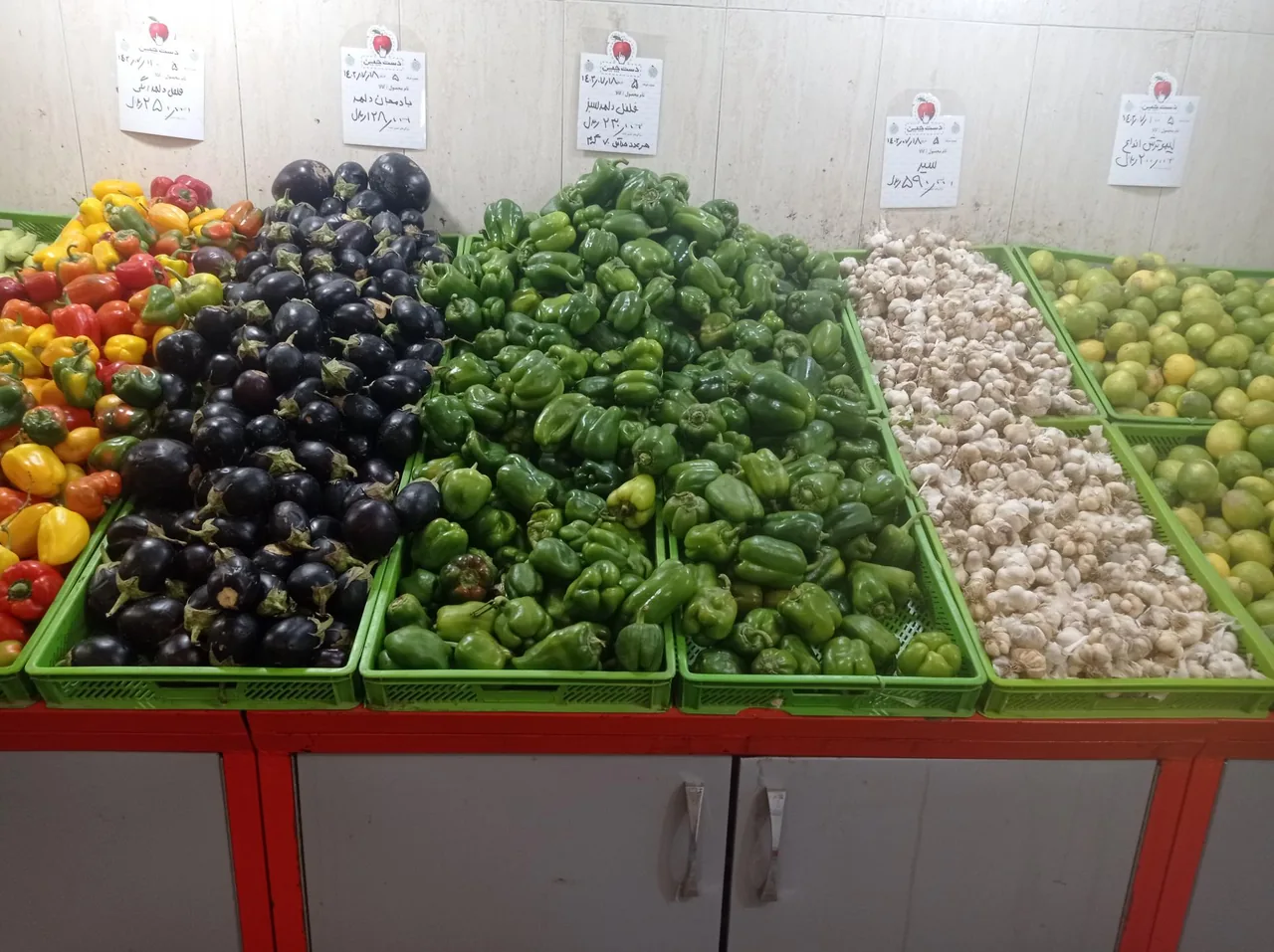 تره بار کوهستان - تصویر 5