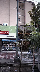 نگارخانه عباس داداشی