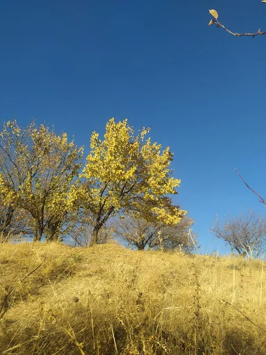 لونا پارک باغلارباغی