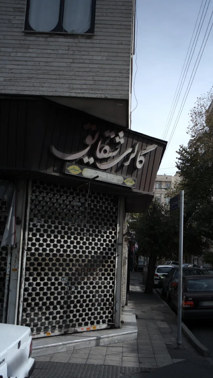 گالری شقایق