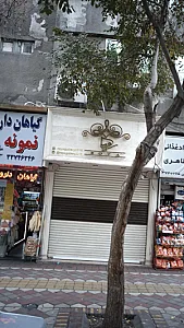 گالری رویا