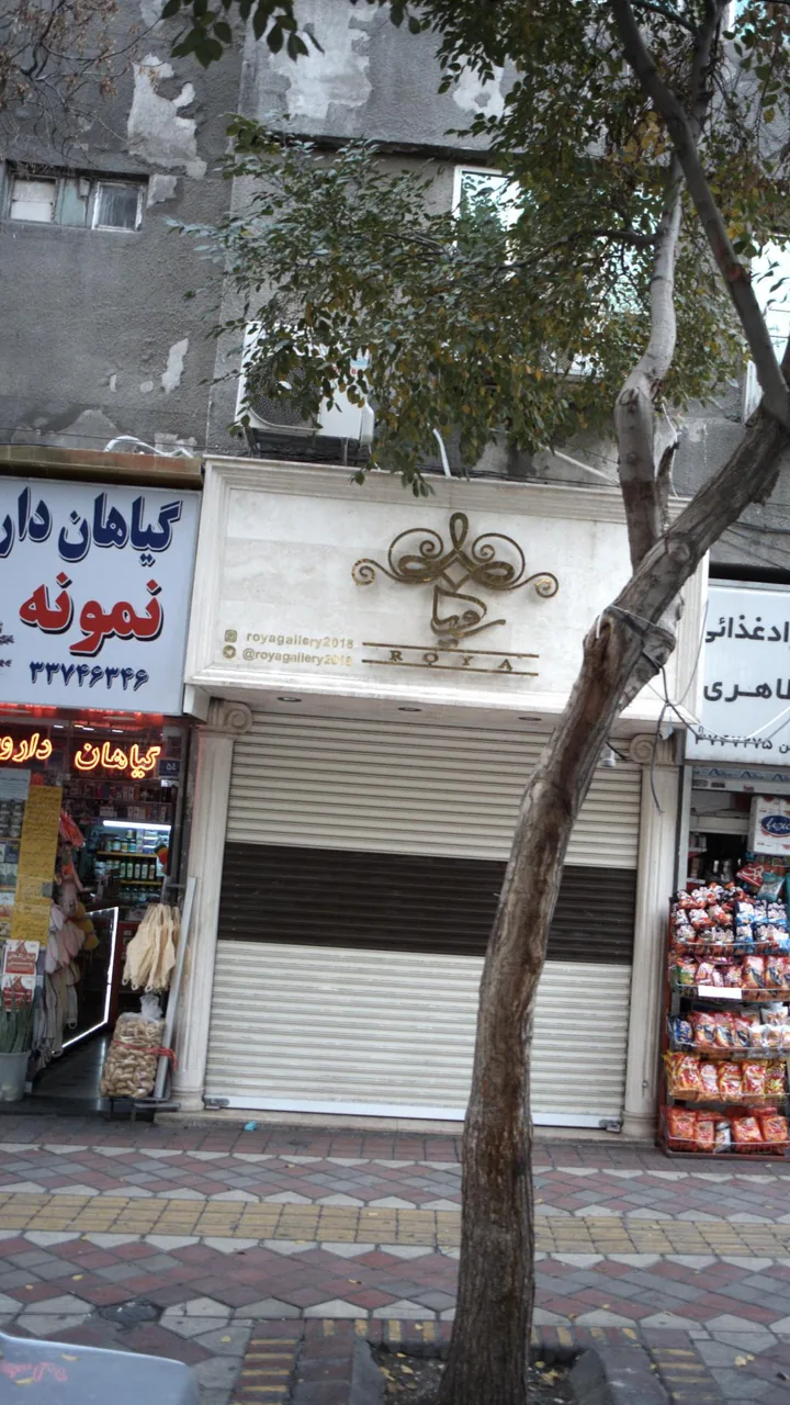 گالری رویا