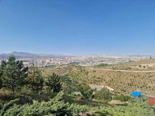 سورتمه سواری ائل باغی تبریز - تصویر 3