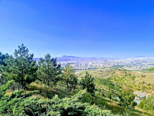 سورتمه سواری ائل باغی تبریز - تصویر 9