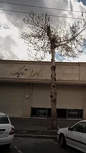 گالری آرمیک