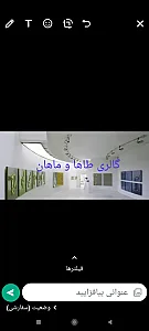 گالری طاها و ماهان