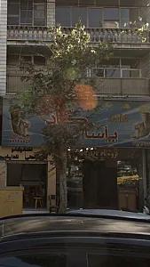 گالری پاسارگاد-فراهانی