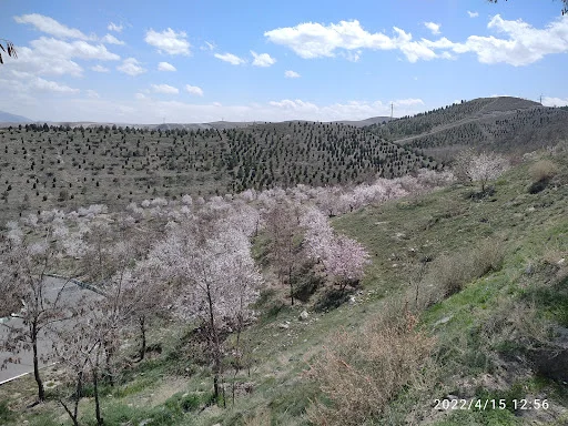 پارک ائل باغی تبریز - گردشگری و جاذبه‌ها در تبریز