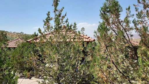 پارک ائل باغی تبریز - گردشگری و جاذبه‌ها در تبریز