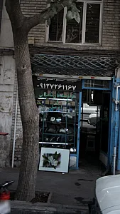 شیشه اتومبیل