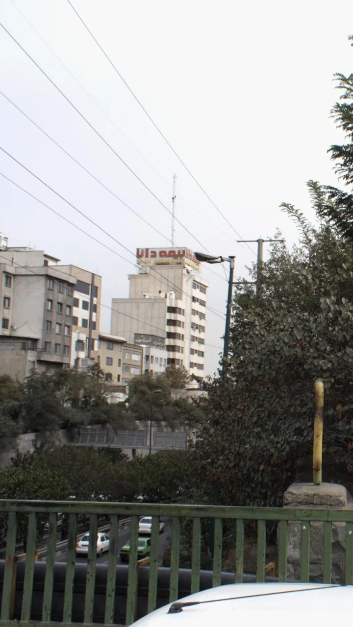 بیمه دانا - تصویر 5