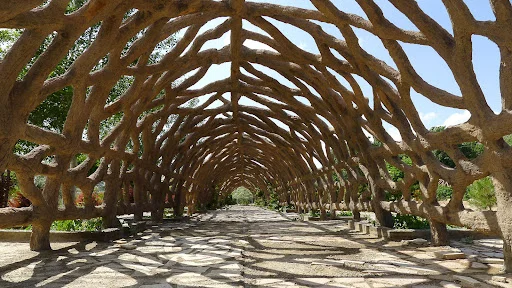 پارک جنگلی باغمیشه