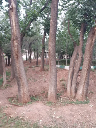 پارک جنگلی باغمیشه - گردشگری و جاذبه‌ها در تبریز