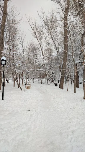 پارک ائل گلی - گردشگری و جاذبه‌ها در تبریز