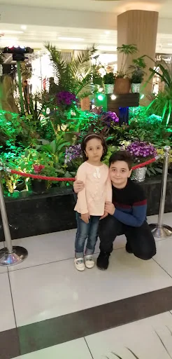 لونا پارک شادی