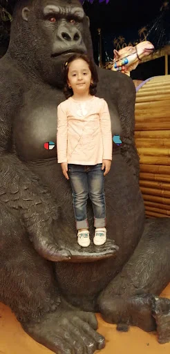 لونا پارک شادی