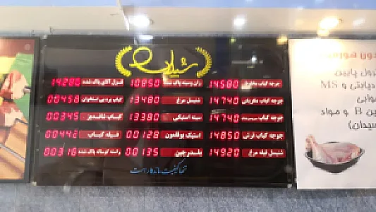 غذای آماده و پروتئینی شیلان
